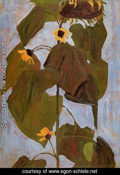 Egon Schiele - Sunflower I